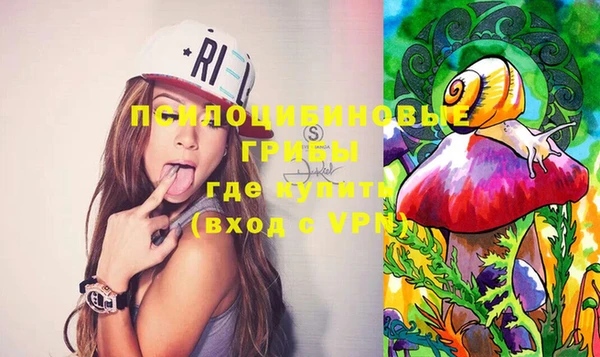 mdpv Елабуга